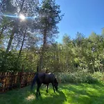 Z Balia W Lesie Na Mazurach Prázdninový dům Orzyny